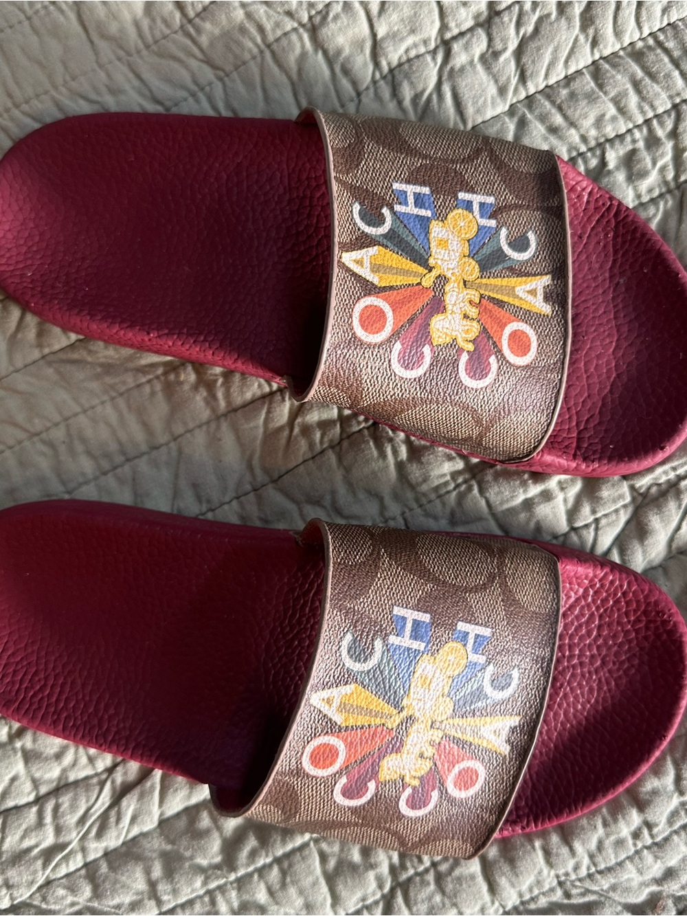 Coach Maroon Logo Monogram Slide Sandals with Multicolor Accents
